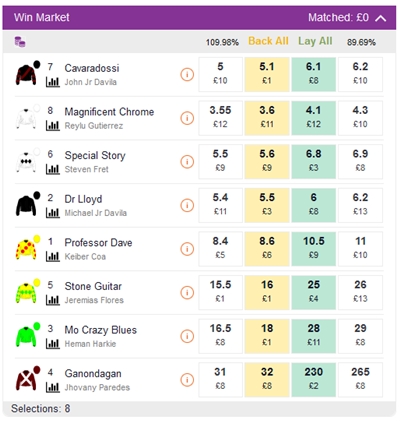 Betdaq is an expert in horse betting